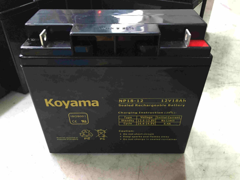 12V 18ah Lead Acid AGM Battery for Utility Vehicle