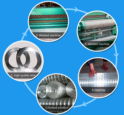 PVC Coated Welded Holland Wire Mesh for Construction with SGS