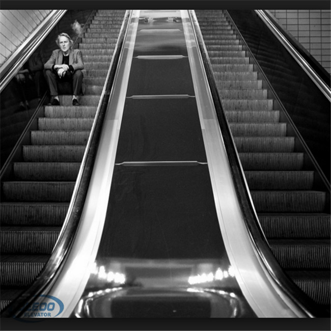 Mall 30 Degree Outdoor Passenger Commercial Vvvf Escalator