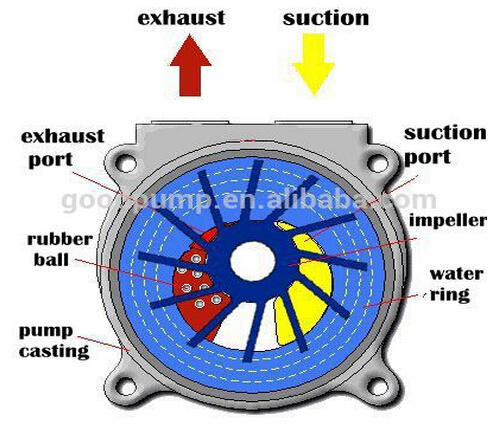 Sk Water Ring Vacuum Water Pump