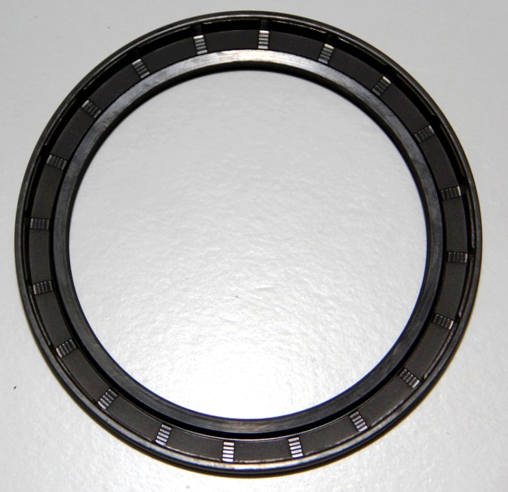 Tg Oil Seal for Petroleum Equipment