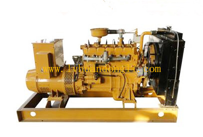 World Famous Global Warranty Natural Genset