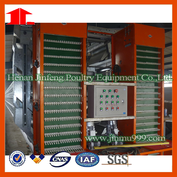 a & H Type Poultry Frame Equipment for Chicken Birds Farm