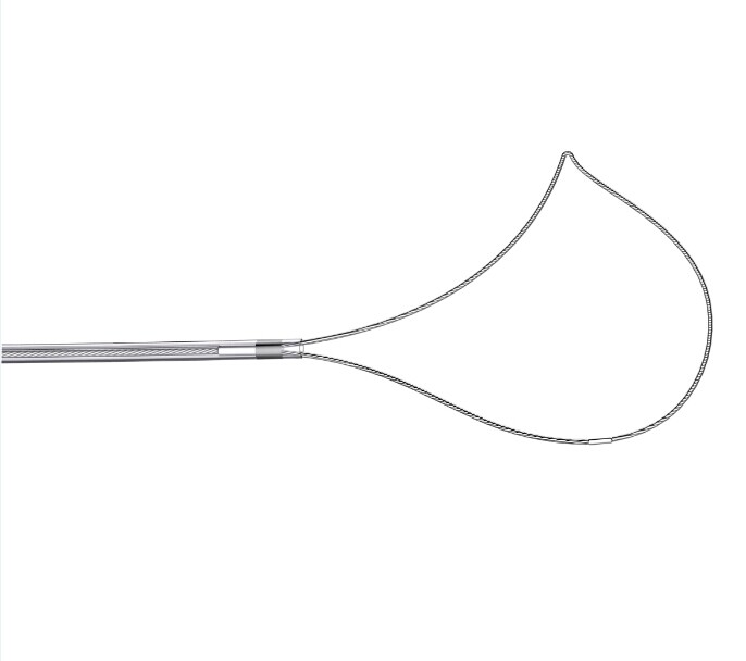 Flexible Polyp Snare Single Use with FDA and CE