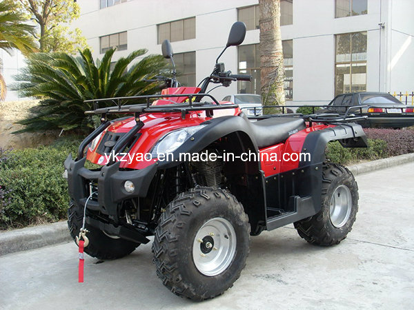 Jianshe ATV Quad Bike with 10inch Wheel From China