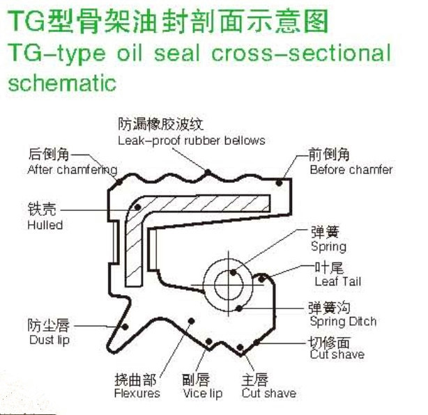 Large Skeleton Tg Oil Seal for Binding Machine