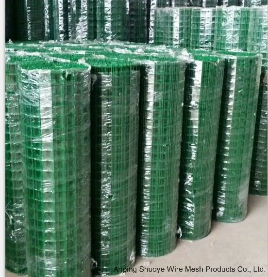 Hot Dipped Galvanized Steel Welded Wire Mesh in Panel
