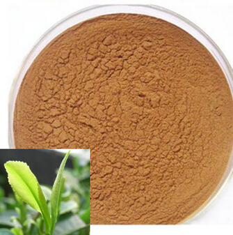 Natural Plant Extract Tea Polyphenol