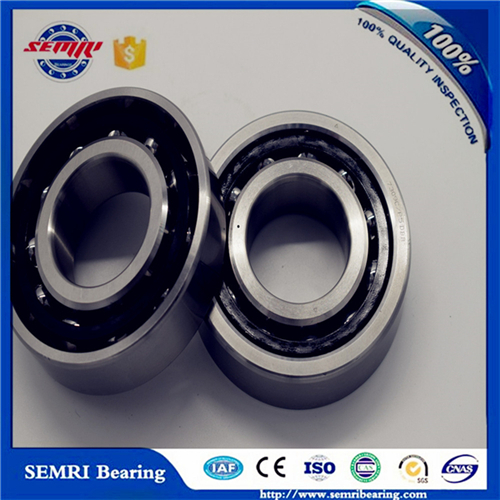 Japan NSK/ Koyo Angular Contact Ball Bearing (7310CDT)