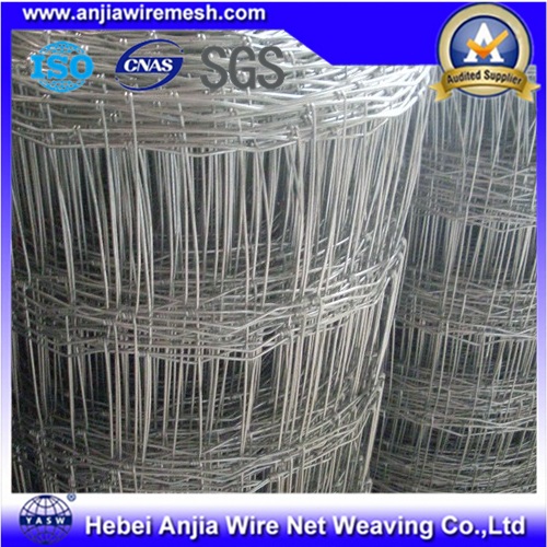 Galvanized Knotted Wire Mesh Cattle Fence Using in Herd, Field Fence, Fixed Fence