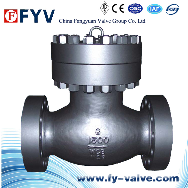 Cast Steel Swing Check Valve with Certificate