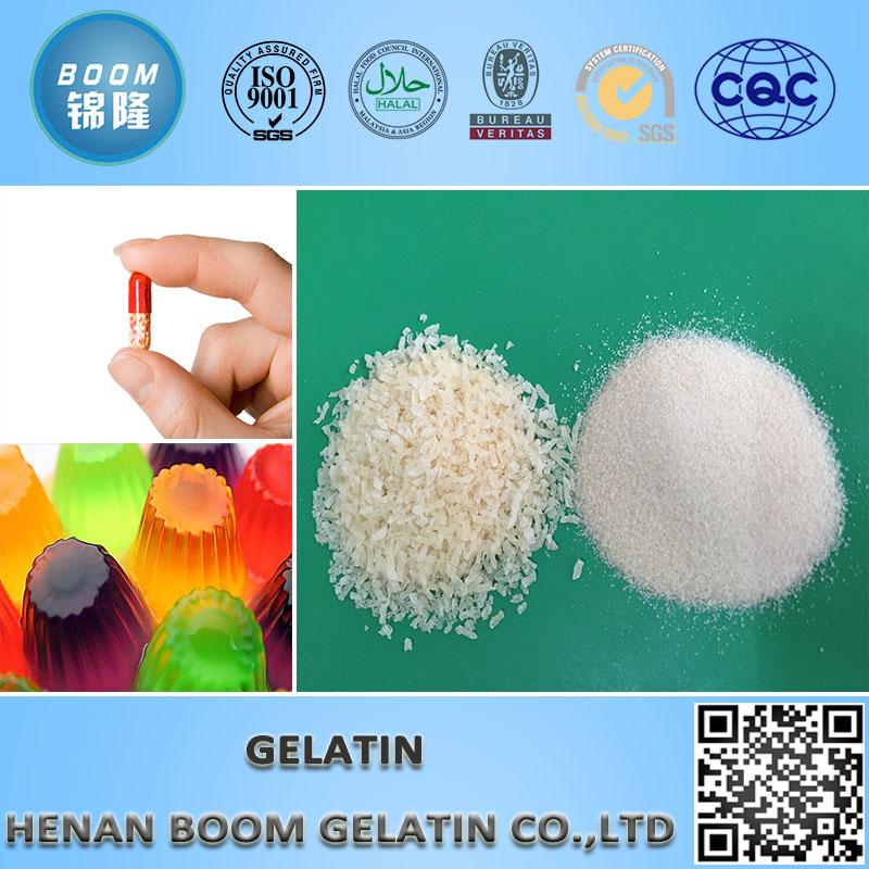 Pharmaceutical Gelatine