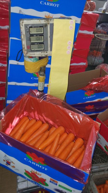 Top Quality of Fresh Chinese Carrot