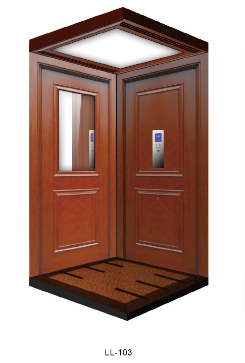 320kg Villa Elevator House Lift, Home Lift (LL-103)