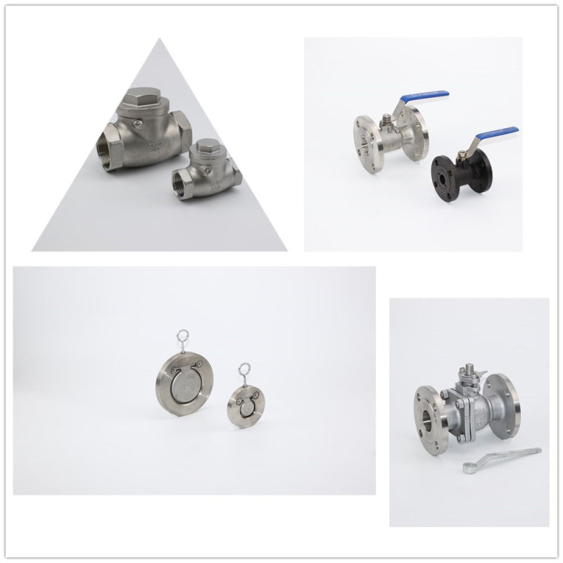 Stainless Steel Swing Check Valve