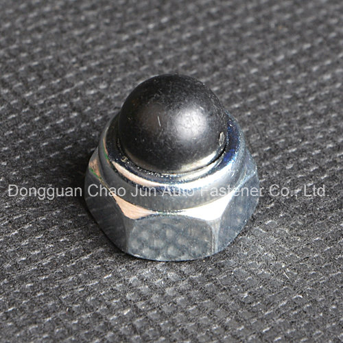 Carbon Steel Hex Nylon Iron Cap Nut (CZ091)