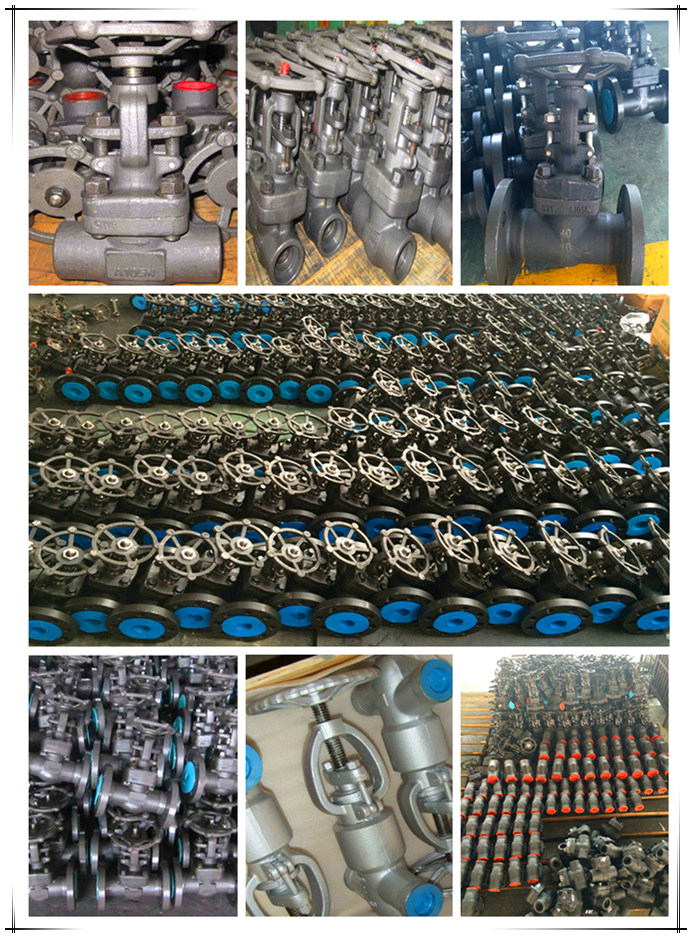 Female Threaded and Socket Welded Gate Valve