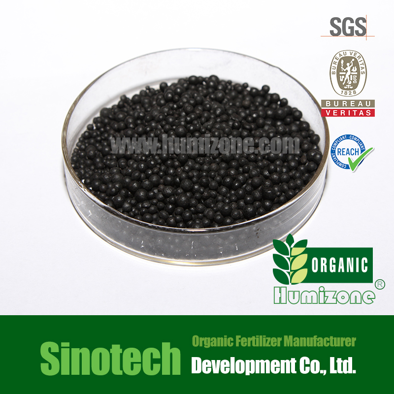 Humizone Slow Released Fertilizer: Humic Acid Shining Granular (HA-G)