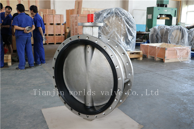 CF8 Double Flanged Butterfly Valve