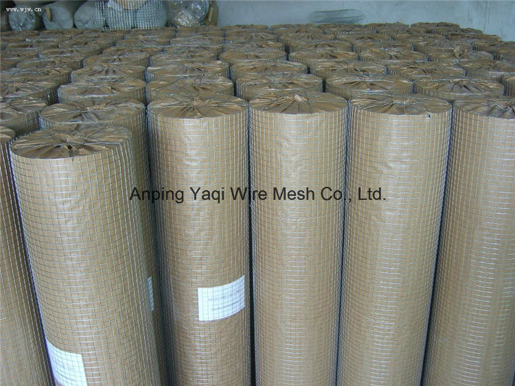 100*100mm PVC Coated Welded Wire Mesh Panel Anping Factory