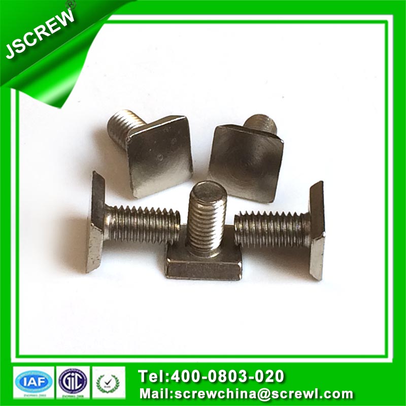 Square Head Stainless Steel T Bolt for Curtain