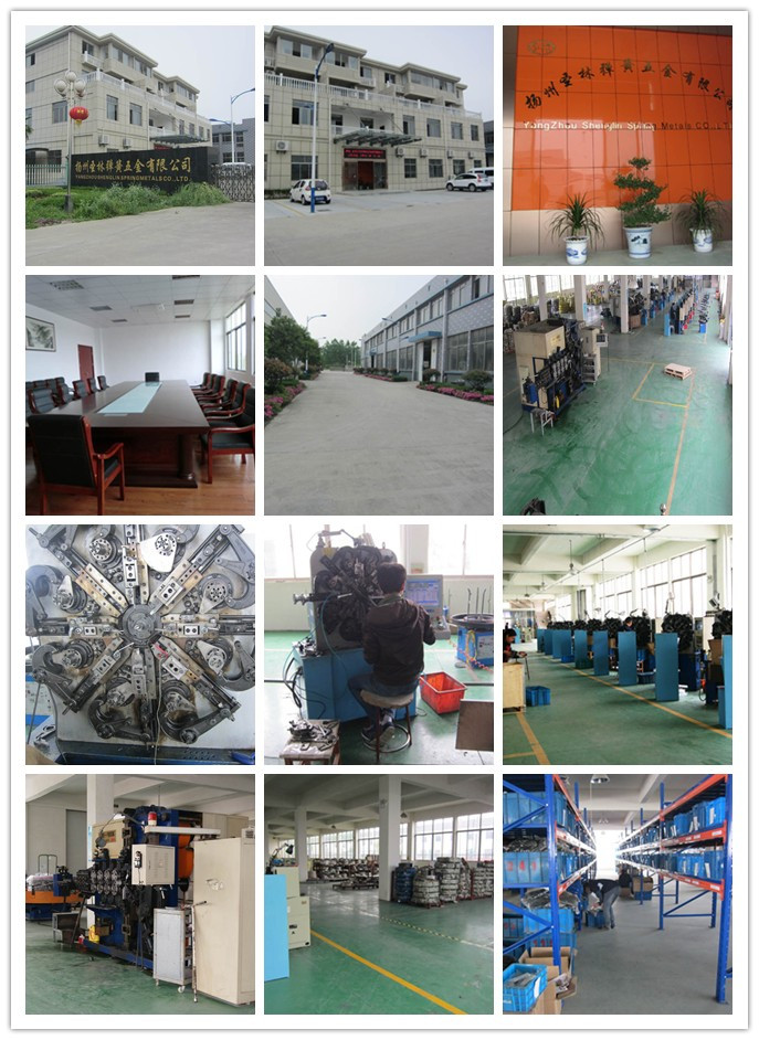 Custom Precision Wire Forming Spring Manufacturer in China