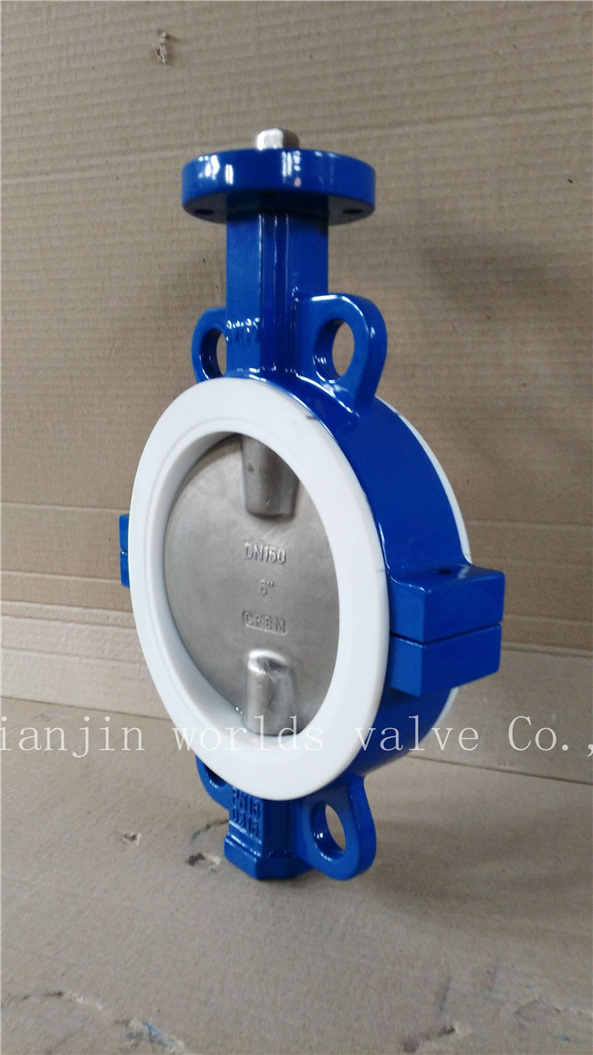 PTFE Butterfly Valve with Ce ISO Wras (CBF04-TA01)