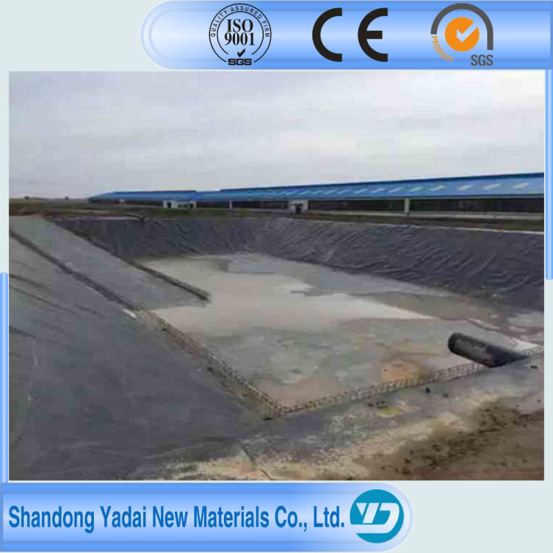 Black HDPE Plastic Sheet LDPE Geomembrane/Geomembrane Liner and Pond Lining Sheet