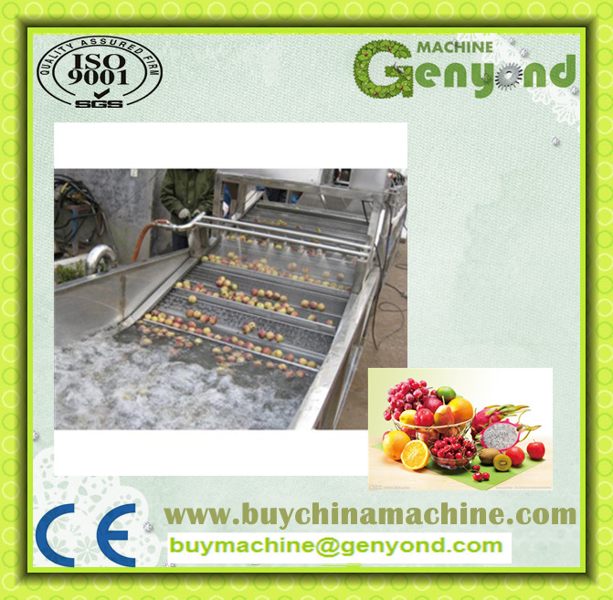 Automatic Washing Machine for Vegetable Processing