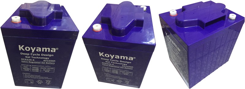 High Capacity 225ah, 6V Deep Cycle Boat Battery Floor Washer Battery DC225-6