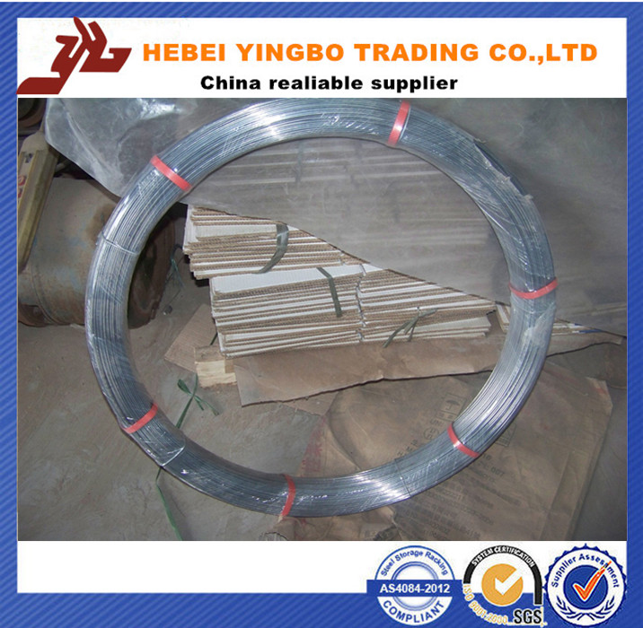 Low Price Electro/Hot-Dipped Galvanized Iron Wire /Black Iron Wrie