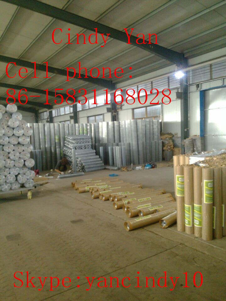 Hot Dipped Welded Wire Mesh Factory