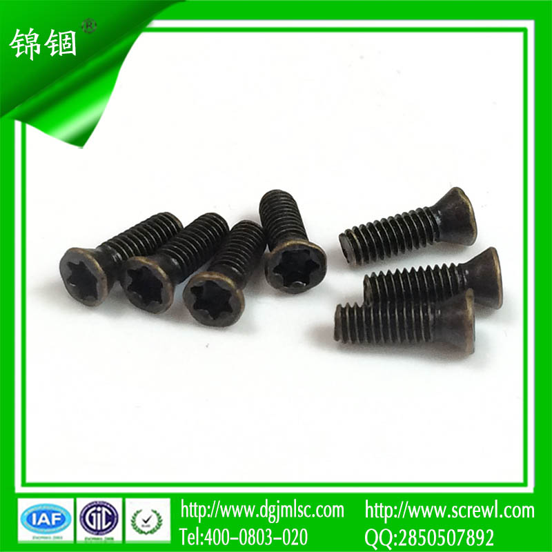 Torx Countersunk Head Bronze Screw