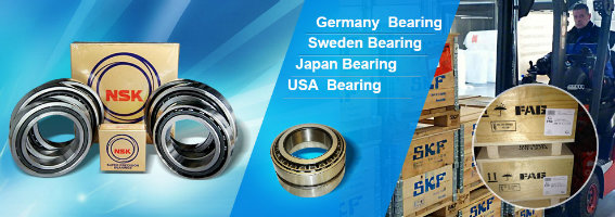 High Precision Radial Original NTN NSK Koyo Cylinedrical Roller Bearing