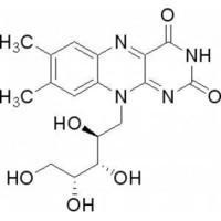 Food Grade Pharma Grade Vitamin B2 Riboflavin