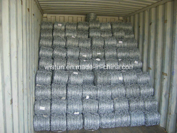 Hot Galvanized Barded Wire Razor Barded Wire Wire Mesh Fence