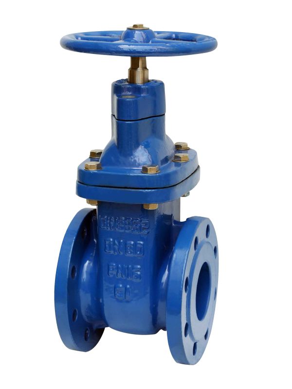 Dn40-Dn1000 Resilient Seated Gate Valve