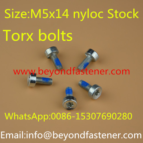 Torx Screw Bolts Nyloc Screw