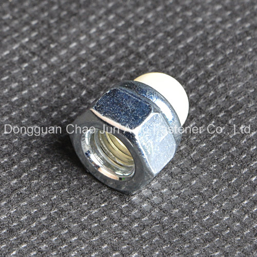 Carbon Steel Hex Nylon Cap Nut