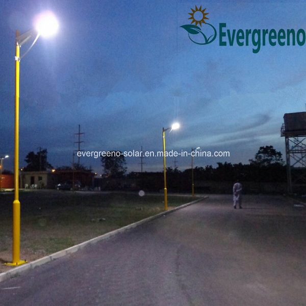 Solar LED Street Light with High Quality