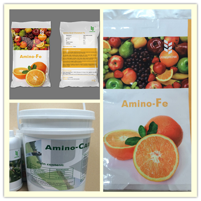 Organic Fertilizer Amino Acid Chelate Fe