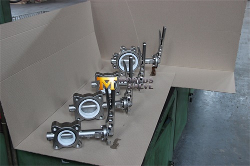 Stainless Steel Wafer/Lug/Flanged Butterfly Valve (CBF01-TA01)