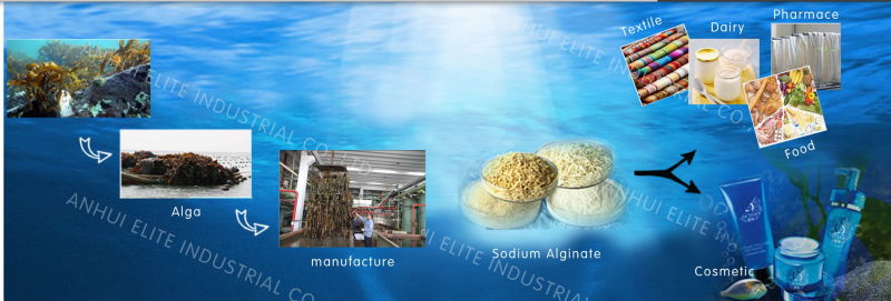 Food Textile Pharmaceutical Grade Sodium Alginate