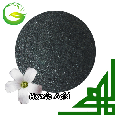 Potassium Humate 100%Water Soluble