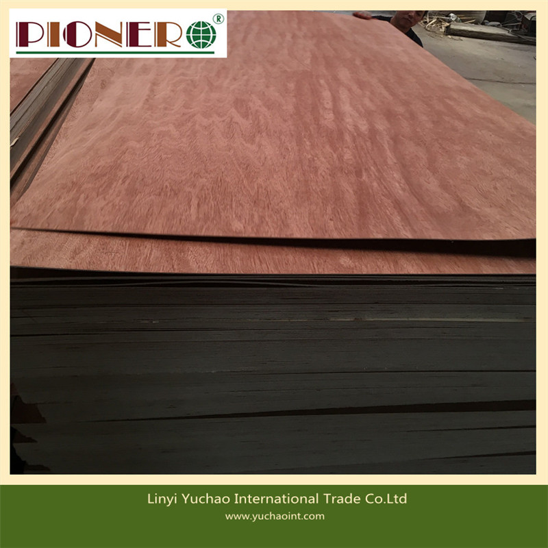 Red Face BB/CC Grade Commercial Plywood for Middle East Market