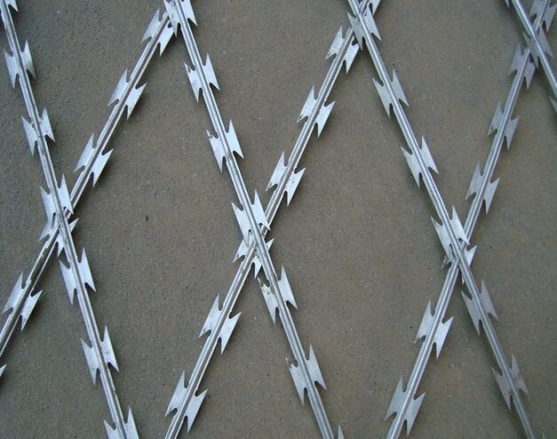 China High Quality Galvanized Low Price Concertina Razor Barbed Wire