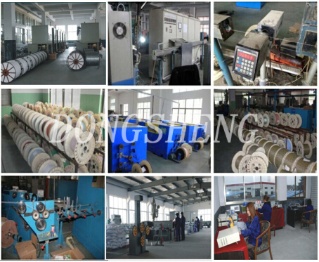 Linan Dongsheng Cable Factory Supply with 4 Pairs CCA/Cu Cat5e FTP Cable