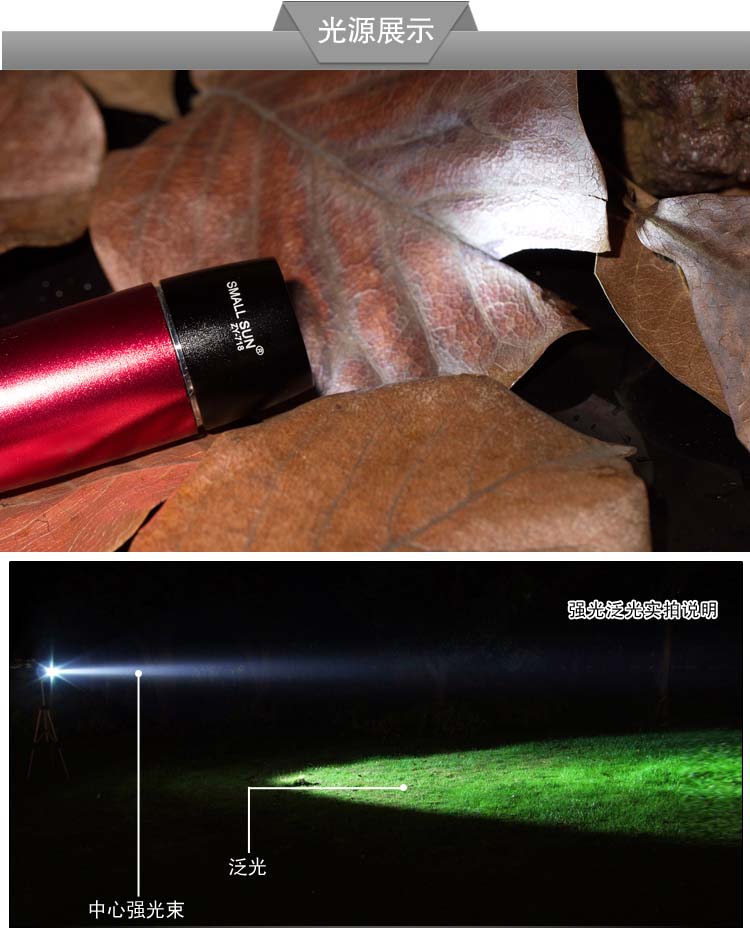 1 Modes LED Flashlight with Ce, RoHS, MSDS, ISO, SGS