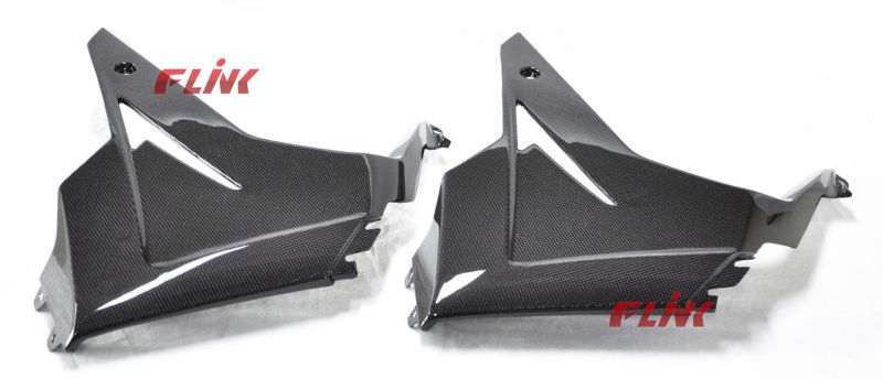 Motorycycle Carbon Fiber Parts Side Panel for Triumph 675 V Piece (2013)