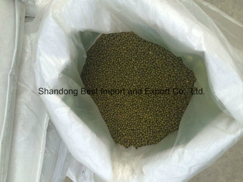 2016 New Crop Organic Green Mung Beans